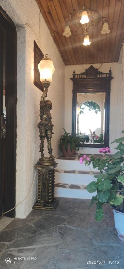 Odysseas Hotel Samos Exterior foto